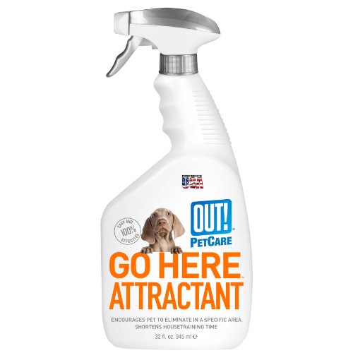 housetraining a puppy | OUT! Pet Care Go Here Attractant ...